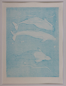 Radierung von Sandra Setzkorn: Weißwal (Beluga)